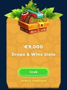 Drops & Wins Slots